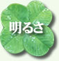 邳